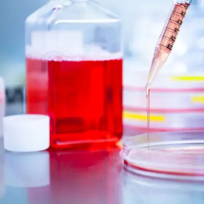 Read more about the article How Non-Essential Amino Acids Support Metabolism