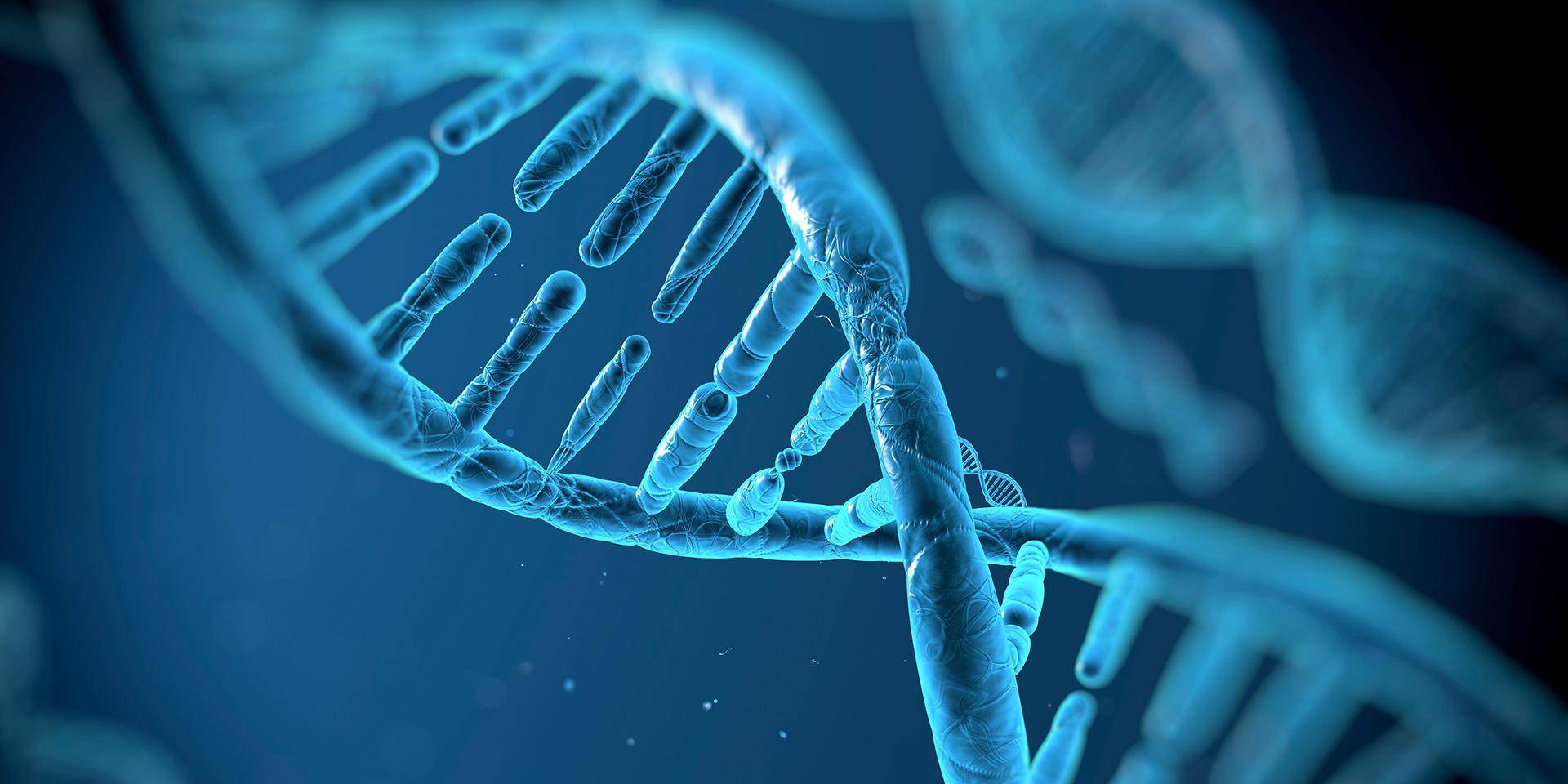 Read more about the article What to Know About DMEM F12 Advanced and Its Role in Modern Biotech