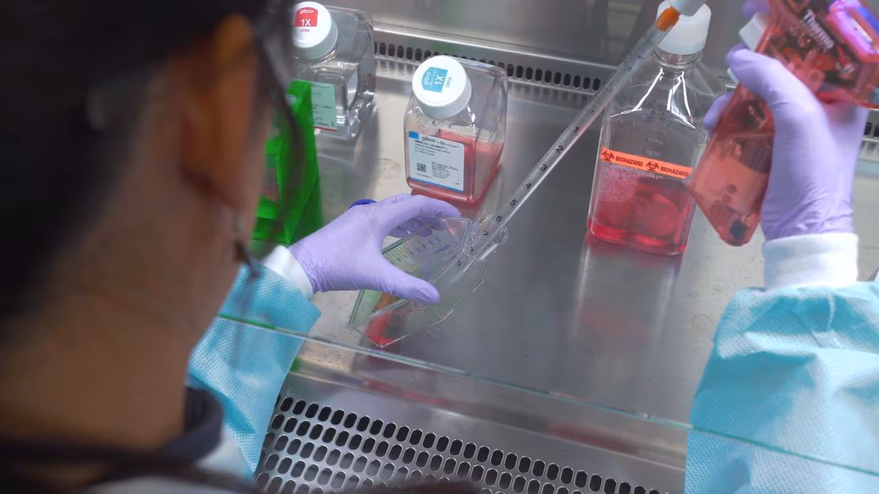 Read more about the article Unlock the Power of Trypsin-EDTA for High-Quality Cell Harvesting