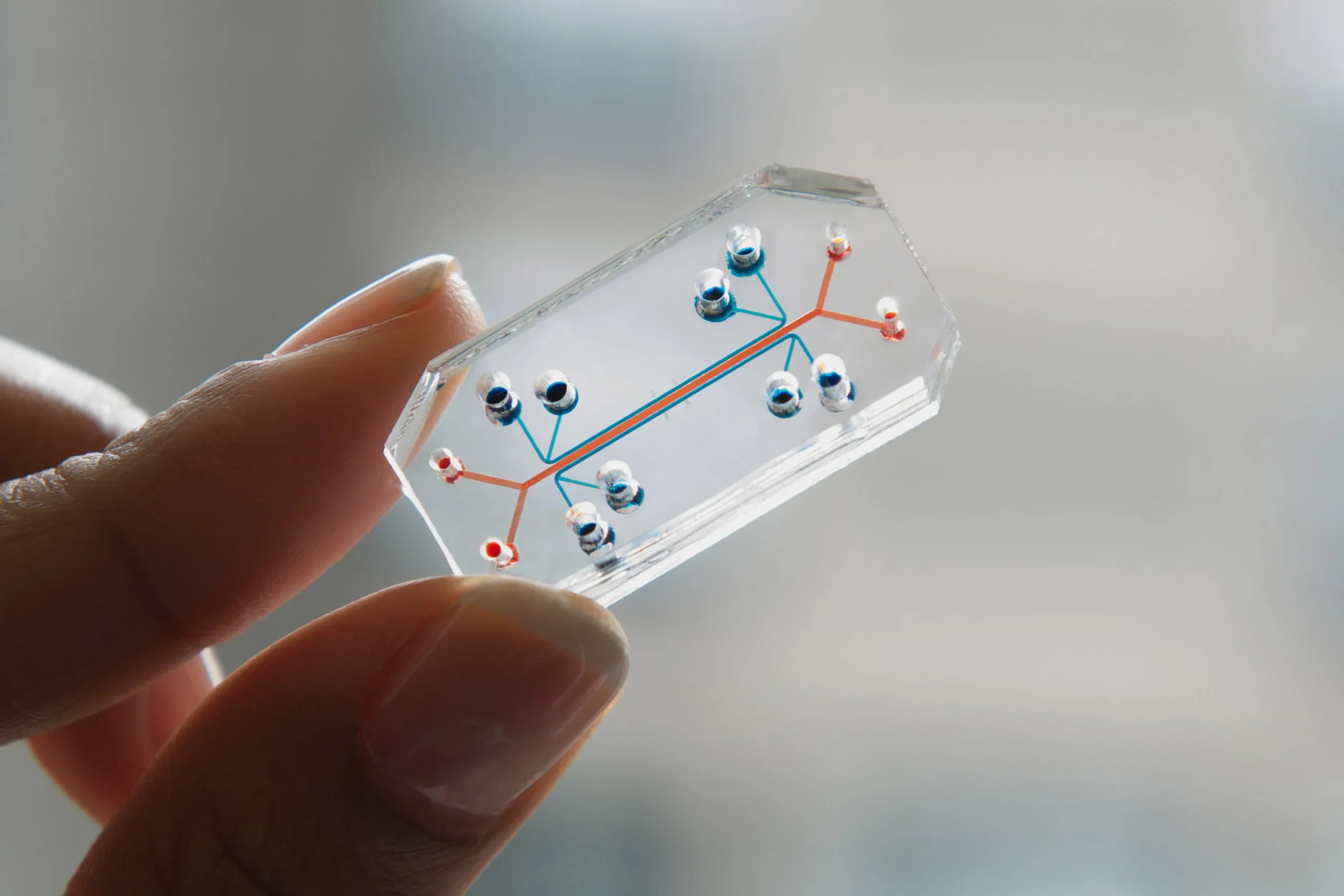 Read more about the article Charcoal Stripped FBS in the Development of Organ-on-a-Chip Models