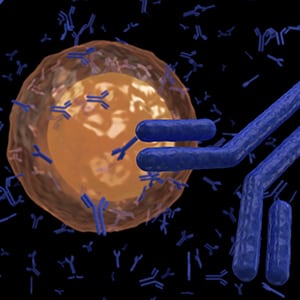 Monoclonal antibodies (300,300) shutterstock_279589958