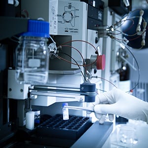 Pic Expression and purification in Ex vivo (300,300) shutterstock_385497499
