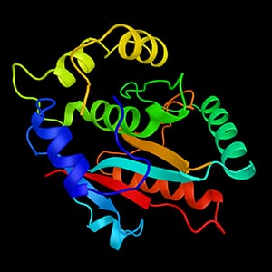 Pic Reconstruction and 3D protein (300,300) shutterstock_576956479