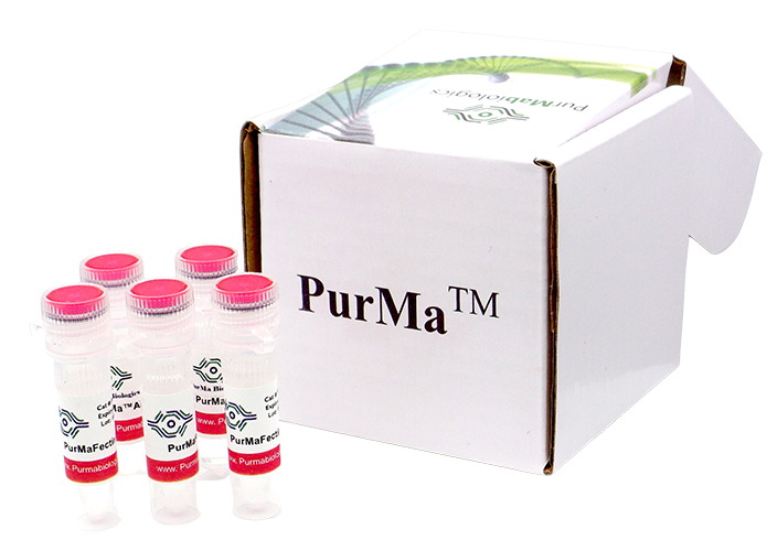 PurMaFectin™ Ultra Transfection Reagent